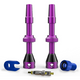 44 mm / purple