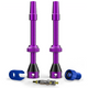 60 mm / purple