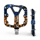 M / special blau/orange