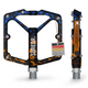 XL / special blau/orange