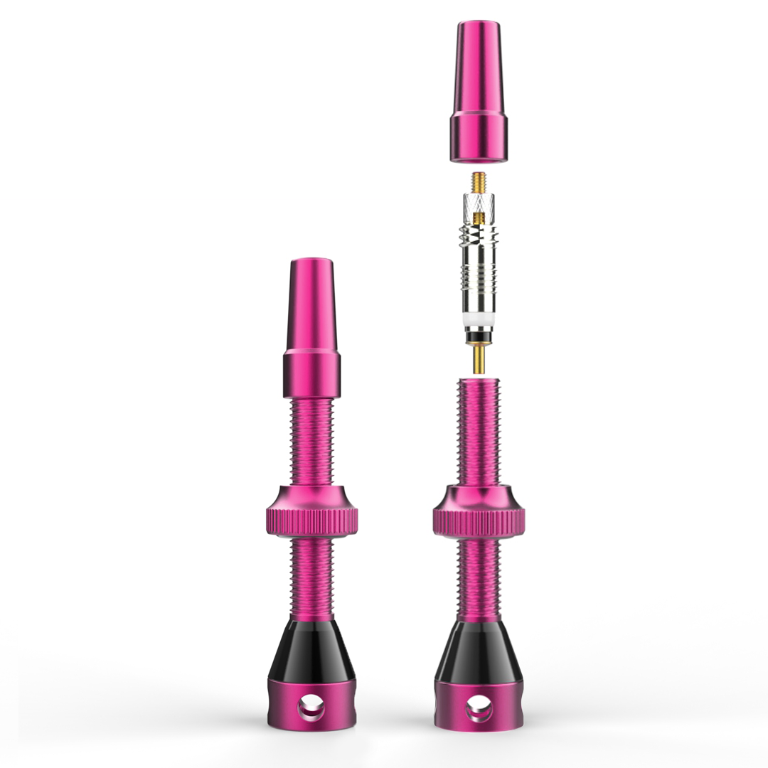 SHREDR. "Kingpin" Tubeless Valve Set - Various Colors and Lengths